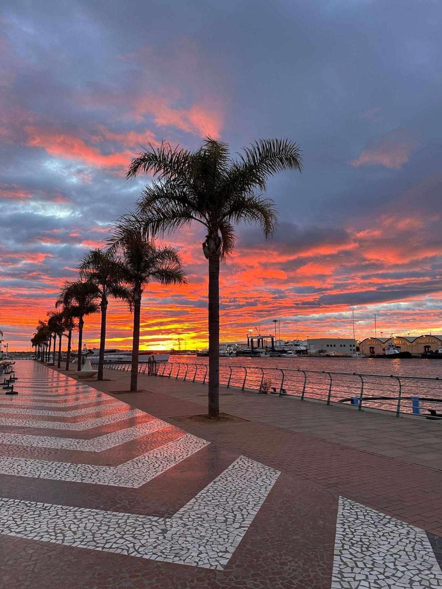 Apartament Ambar Gandia Playa-Grao Con Piscina Parking Ideal Para Familias Exteriör bild